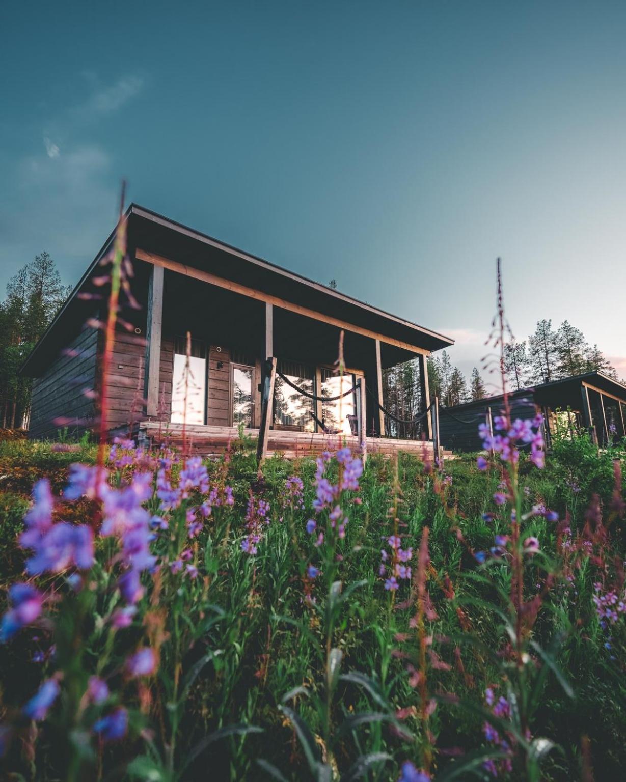 Arctic Treehouse Hotel Rovaniemi Exteriér fotografie